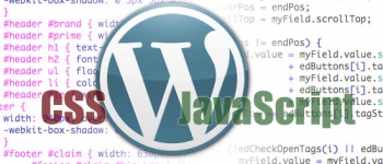 Using Stylesheet, JavaScript Scripts for WordPress Widget